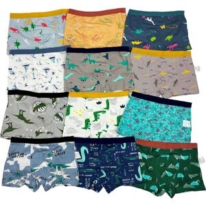 12 Boys Size 5 6 Cotton Underwear Lot Dinosaurs Shark Boat Briefs NWOT